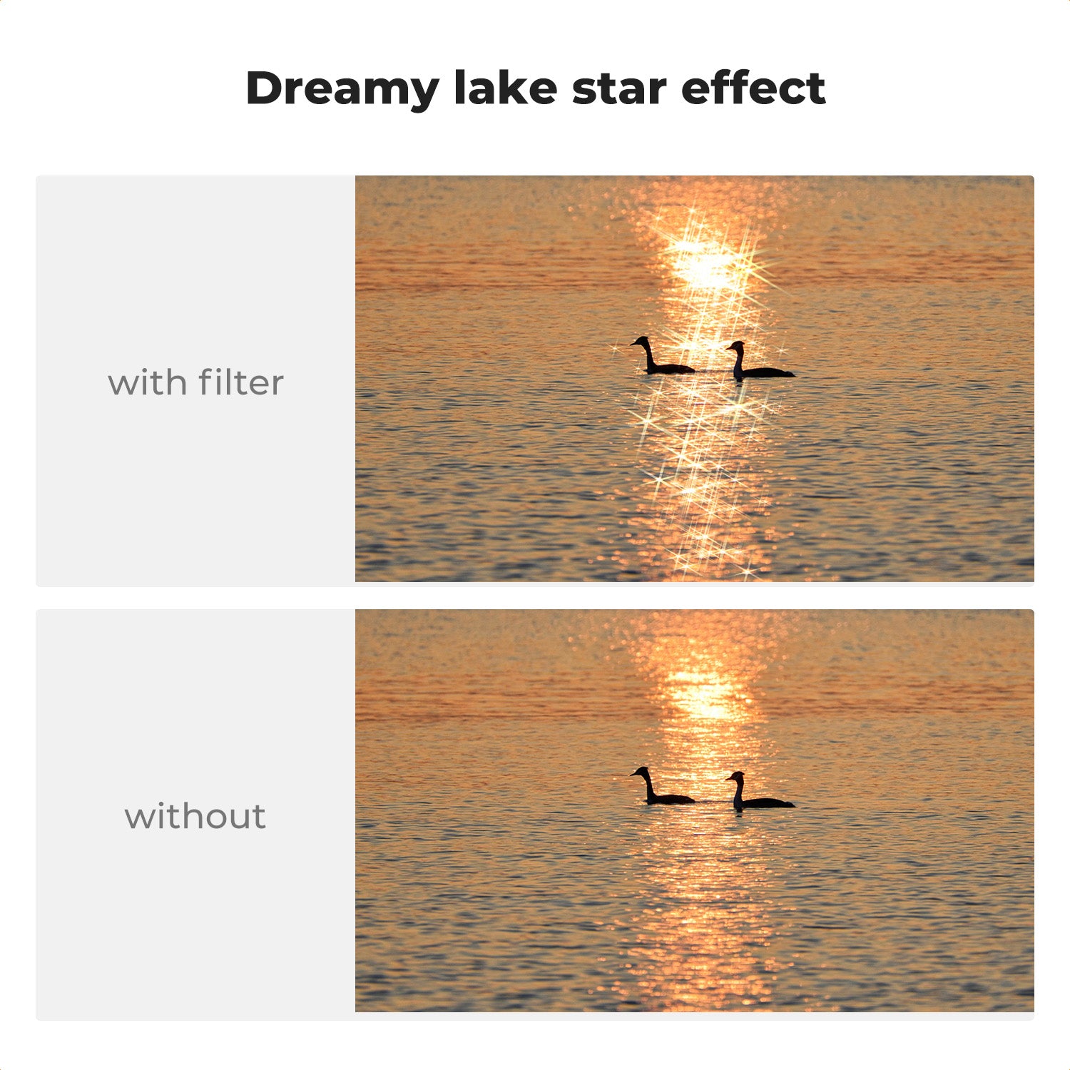 K&F Concept Magnetic Star Filter for DJI Osmo Pocket 3, 6 Points Cross Screen Starburst Sparkling Effect Lens Filter, Optical Glass/HD/Multi-Coated Filters K&F Concept Magnetic Star Filter for DJI Osmo Pocket 3, 6 Points Cross Screen Starburst Sparkling Effect Lens Filter, Optical Glass/HD/Multi-Coated Filters